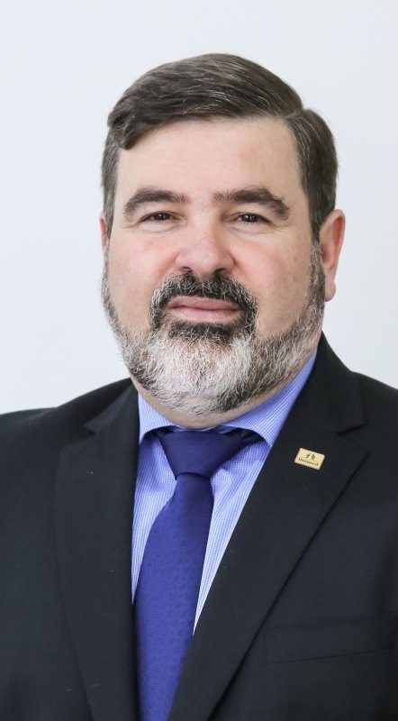 LUIZ FERNANDO RIBEIRO DE MENEZES