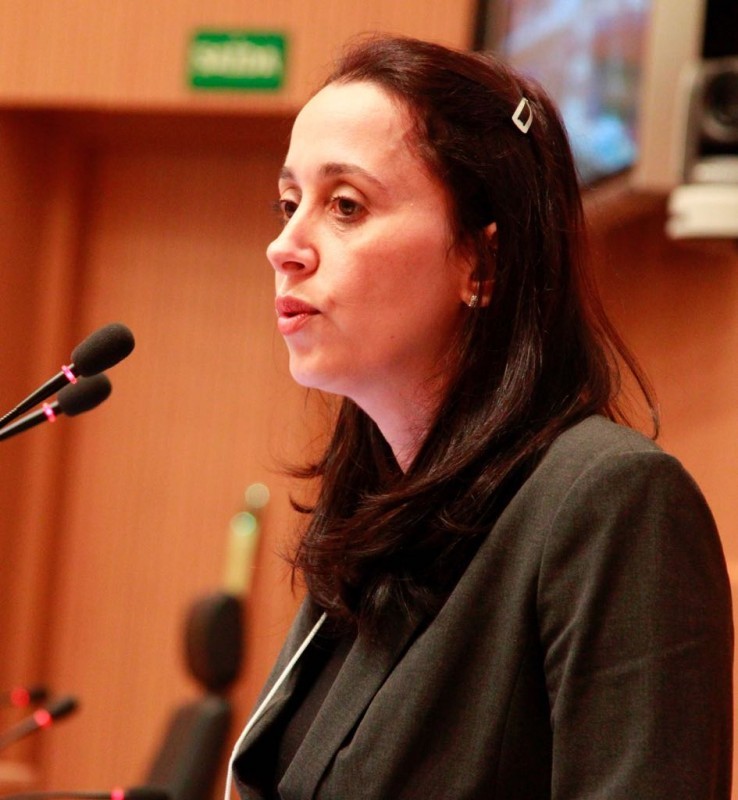 CRISTINA PRATA AMENDOLA (SP)